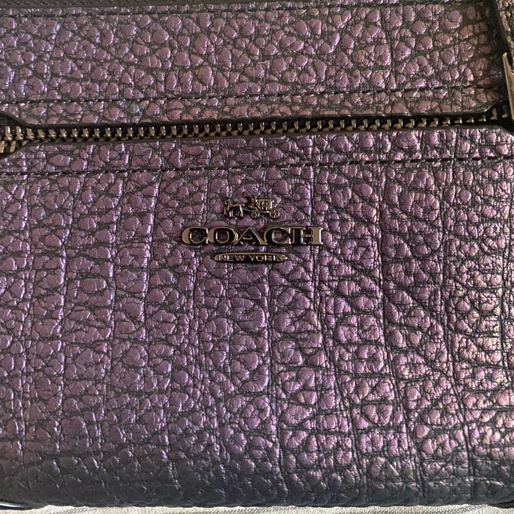 Changeable coach bag